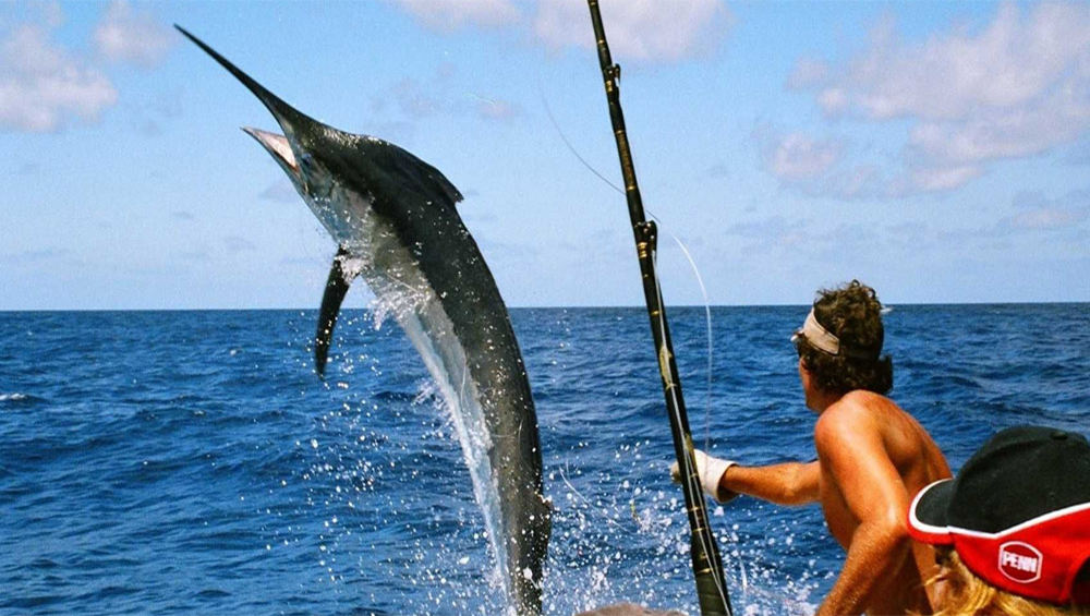 Fishing Trips