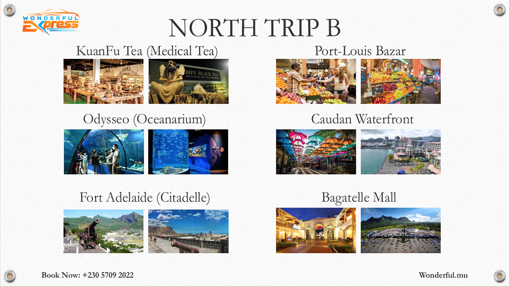 North Trip B