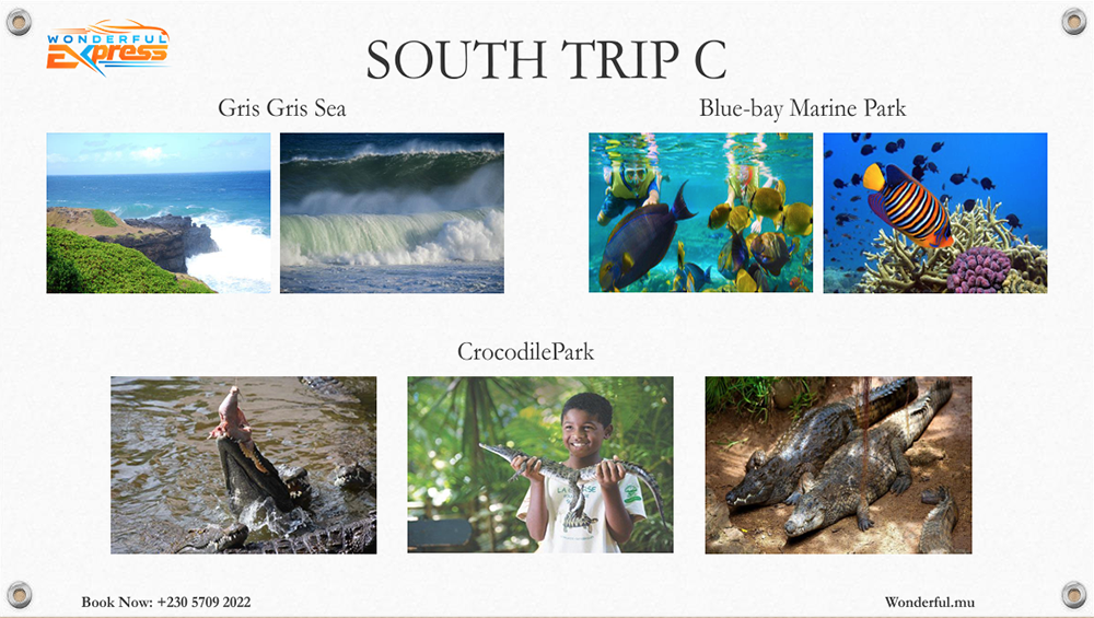 South Trip C